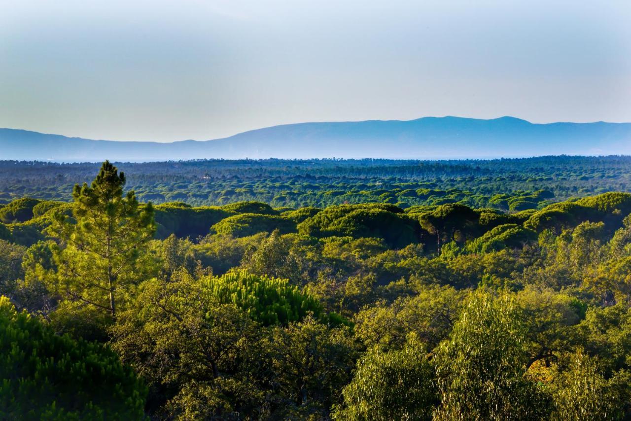 A Serenada Enoturismo Grândola Exteriör bild