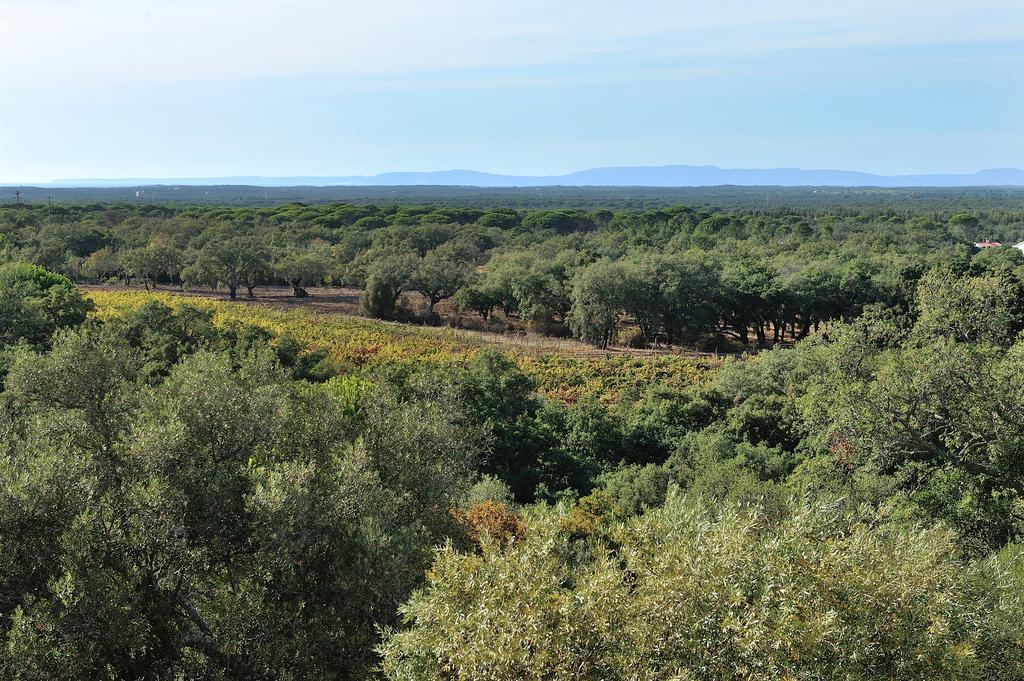 A Serenada Enoturismo Grândola Exteriör bild